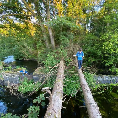 The Old Mill Cavan 度假居